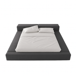 Xeno Platform Bed
