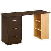 Norden Desk & Bookcase Combo