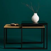 Lounge Coffee Table Set of 2