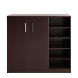Stepra Shoe Cabinet