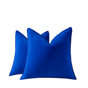 Willow Bloom Cushion