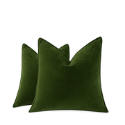 Willow Bloom Cushion