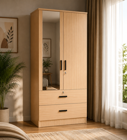2-Door Mirror Wardrobe