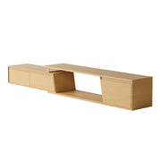 Aurex Expandable Media Unit